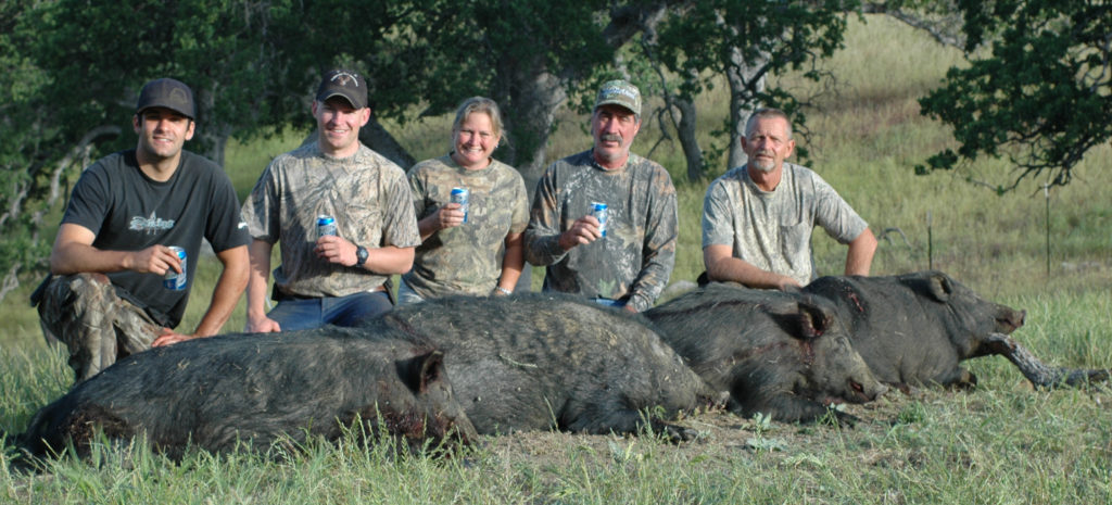 California Pig Hunting